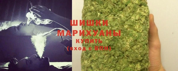 крисы Елабуга