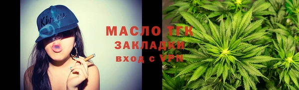 крисы Елабуга