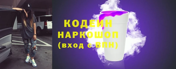 крисы Елабуга