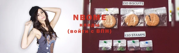 крисы Елабуга