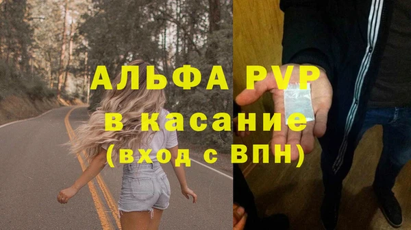 крисы Елабуга
