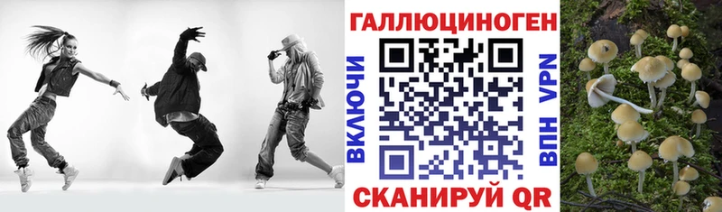 купить  сайты  Зея  мега маркетплейс  Псилоцибиновые грибы GOLDEN TEACHER 